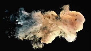 مسحوق توشيبا المطور D5070 500 جرام لـ e-STUDIO